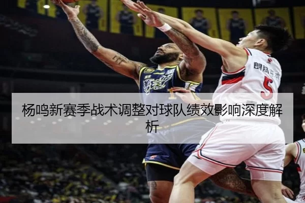 杨鸣新赛季战术调整对球队绩效影响深度解析